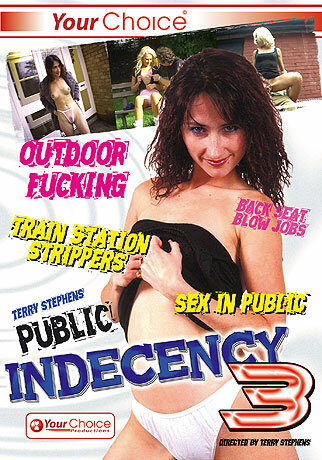 Public Indecency #3 DVD