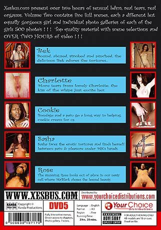 Pain & Pleasure #2 DVD